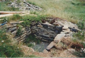 Top view of the stone stacked root cellar foundations in the ground of a grassy field.