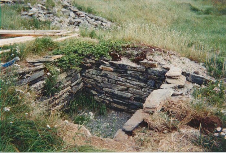 Top view of the stone stacked root cellar foundations in the ground of a grassy field.