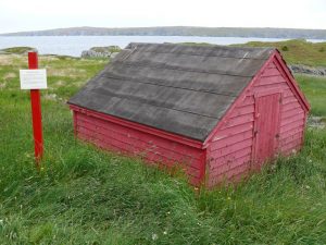 Red top shed with black roof from a root cellar in a grassy field.
