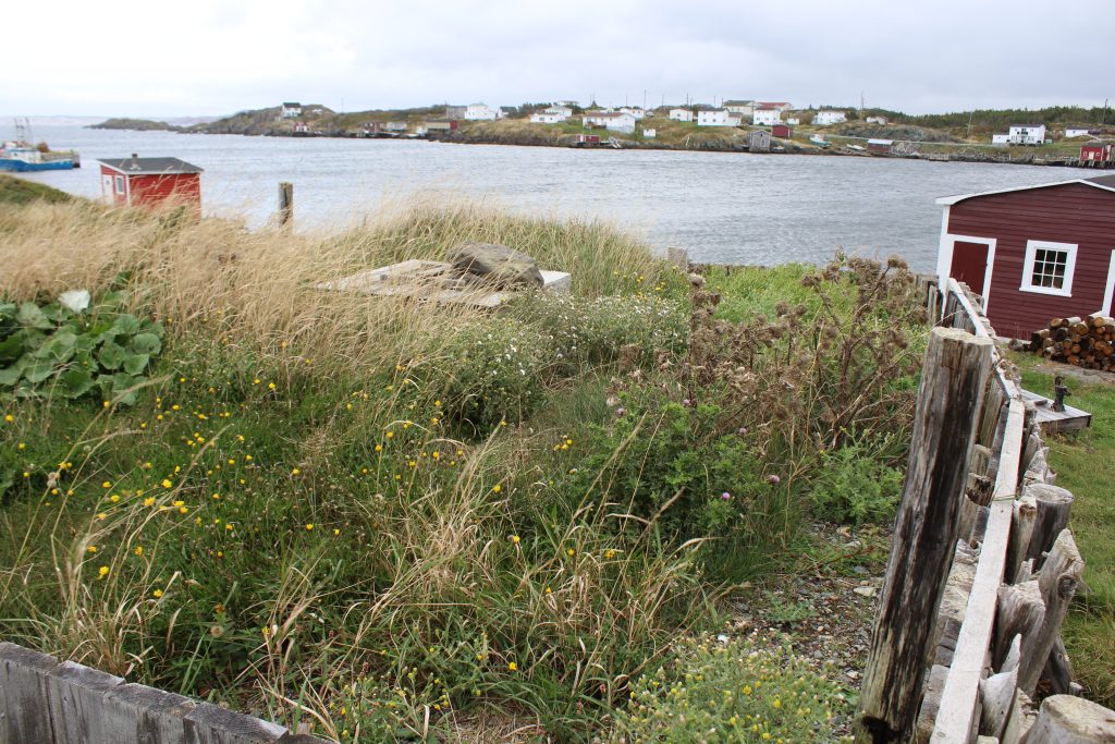 Above Ground Hatch Cellar Entrance Heritage Underground A History