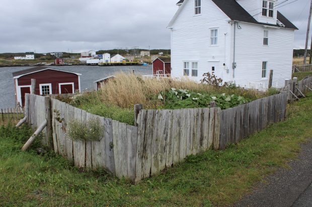 Above ground rectangular wood braced structure in a grassy field.