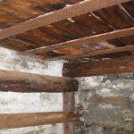 Harbour Grace Root Cellar