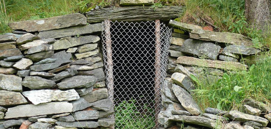 Exterior of a stone walled, grass-covered hillside root cellar, with a chain link fence barrier over the entrance.