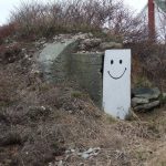 South Side Root Cellar, Twillingate