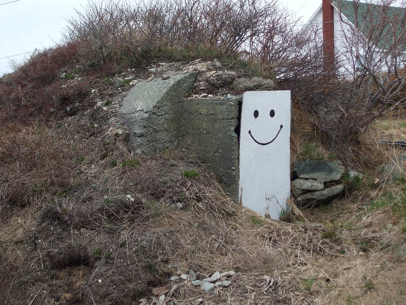Exterior concrete hillside root cellar, grass covered, front entrance door with large smile face drawn on.