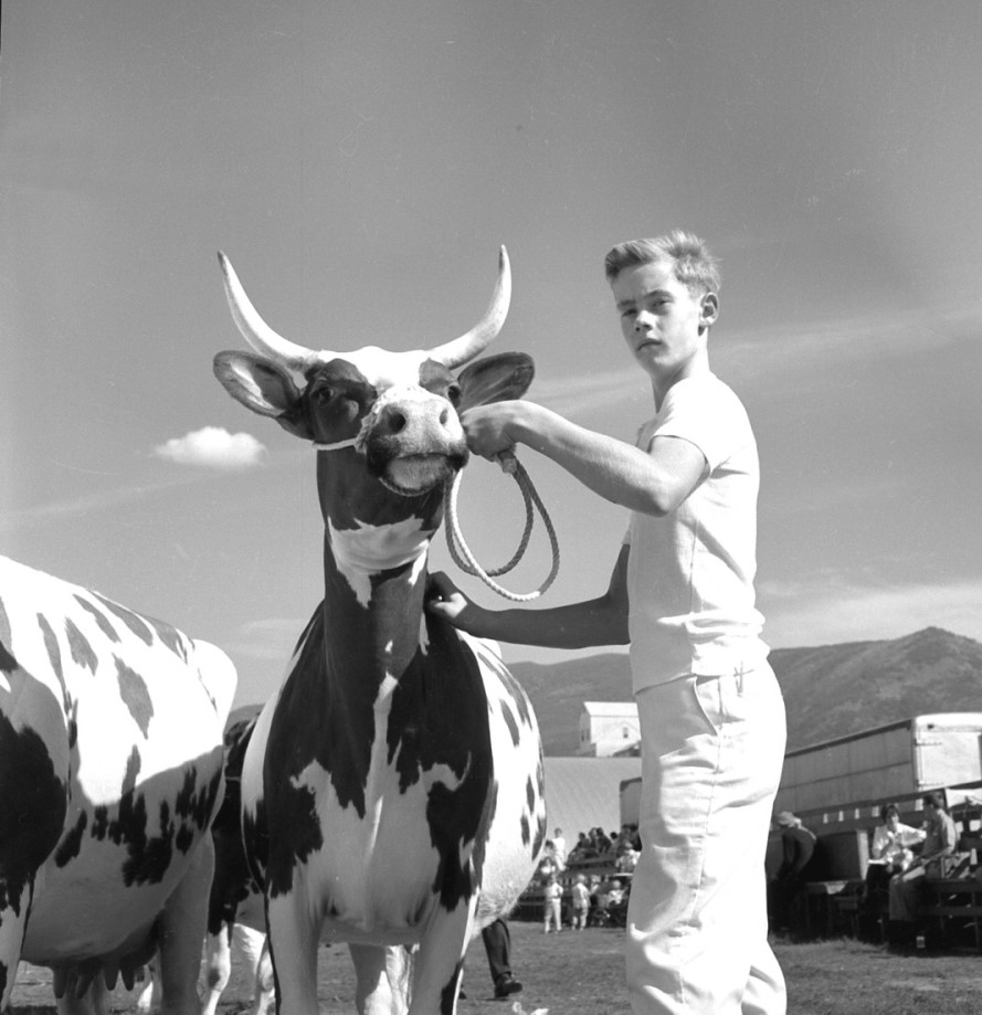 Black and white photo of a boy dressed in white holding a horned calf, both facing forward.