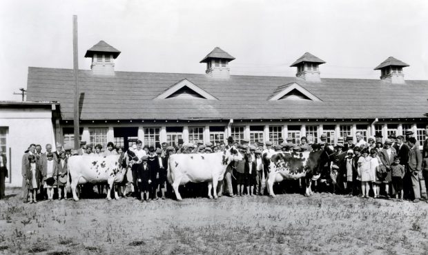 Black and white photo of a large group of people with three cows. Building with many windows and four roof turrets behind.