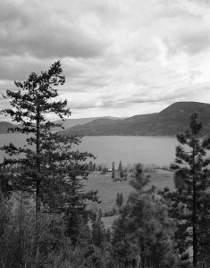 Black and white photo of lake and hills, trees in the foreground.
