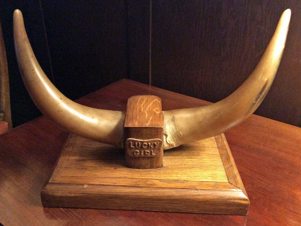 Colour photo of upright cow horns mounted on wood.