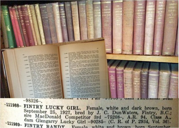 Colour photo of rows of books with an open book superimposed. At the bottom is a close-up image of the book entry for Lucky Girl.