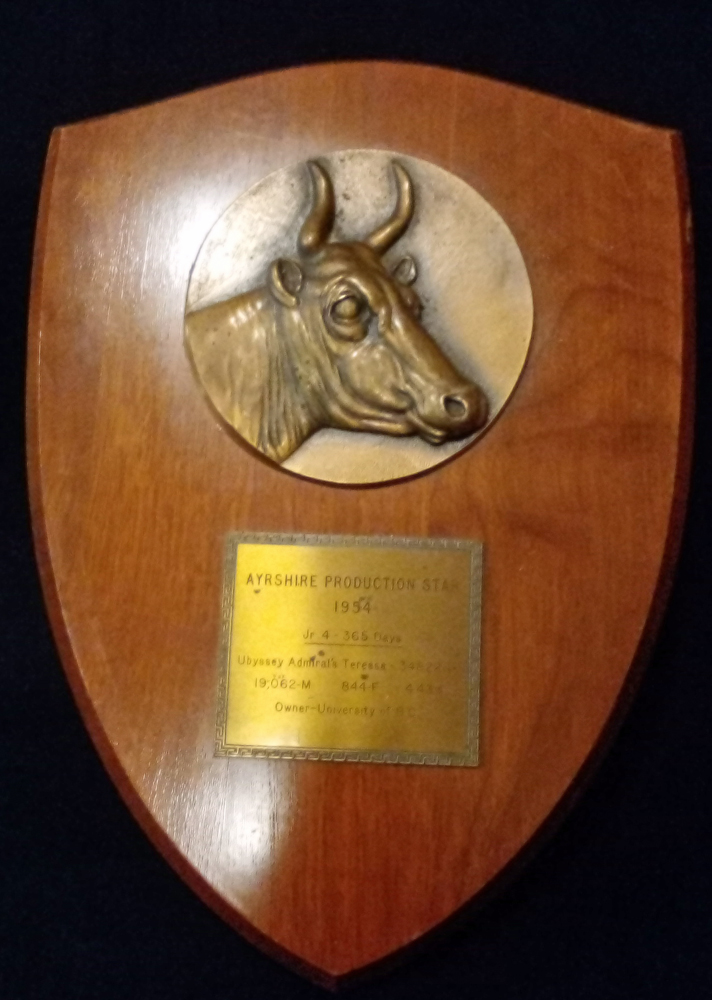 Colour photo of a wooden plaque with brass image of a horned cow and a brass text insert below.