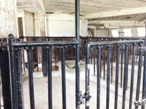 Colour photo of a black-painted iron gate and sides of an animal pen.