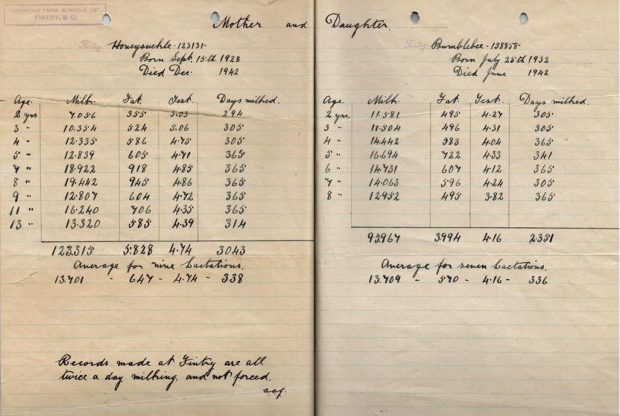 Sepia photo of a chart recording milk production of cows Honeysuckle and Bumblebee.