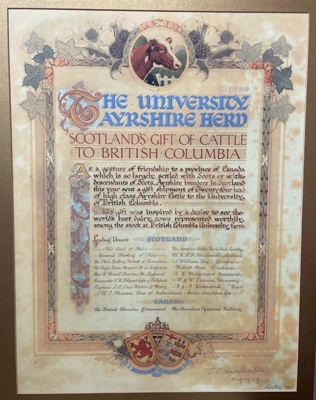 Colour image of a framed certificate.