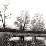 Oshawa Creek Mouth