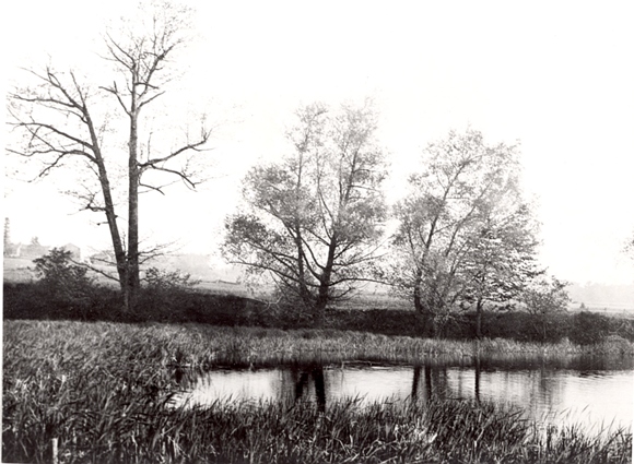 Black and white photograph of a marshy bay with trees and a farm in the background.