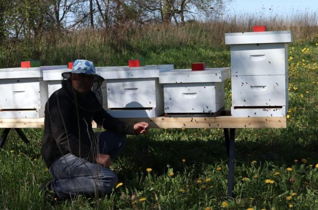 A person kneeling beside five bee hive boxes.