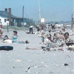 Enjoying a Day at the Beach