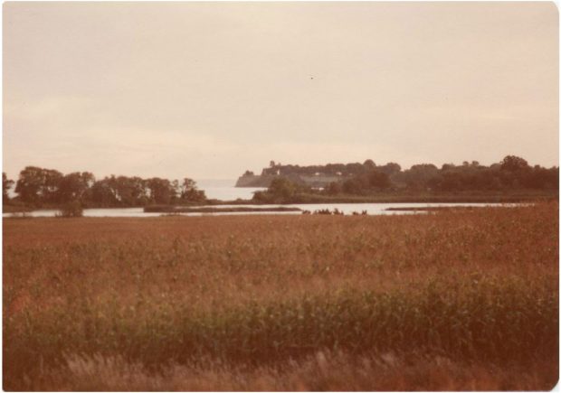 Colour photograph of the view of lakefront from Second Marsh. Field in foreground with trees surrounding small body of water in middle and Bonnie Brae Point visible in background.