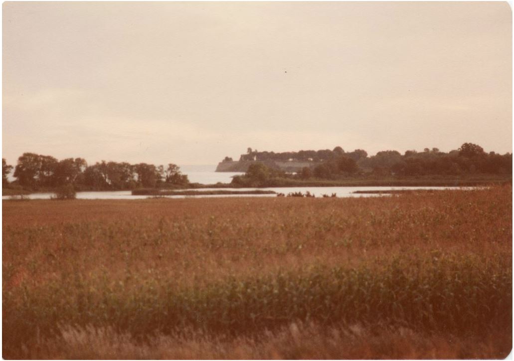 Colour photograph of the view of lakefront from Second Marsh. Field in foreground with trees surrounding small body of water in middle and Bonnie Brae Point visible in background.