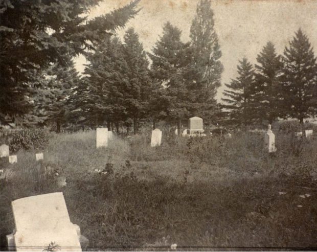 Sepia photograph of graves amongst overgrown grass. and trees surround the graves in the background.