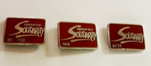 A collection of small rectangular lapel pins with red backgrounds and silver printing of the Solidarity logo. Each pin includes names of unions such as BC FED, IWA, and BCTF.