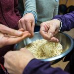 Seeds of Knowledge