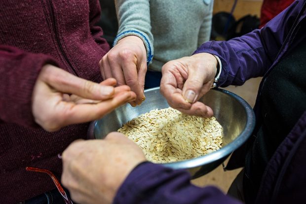 A colour photograph of a woman’s hands holding a bowl full of seeds while her and two others handle the seeds inside.