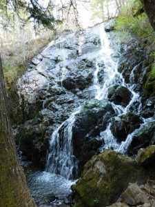 A waterfall cascading down large rocks between trees in a forest.