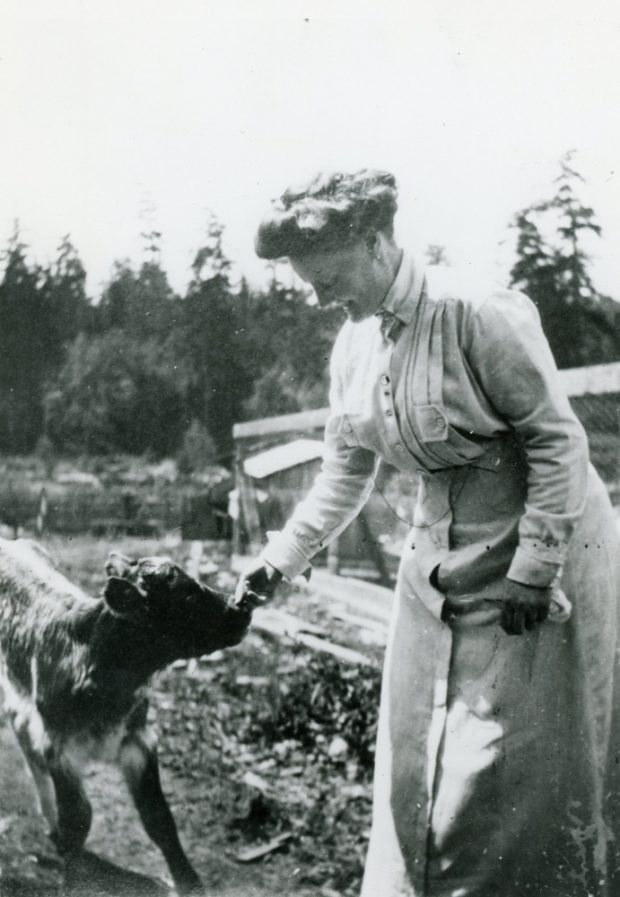 Black and white photo of a woman outdoors feeding a suckling calf.