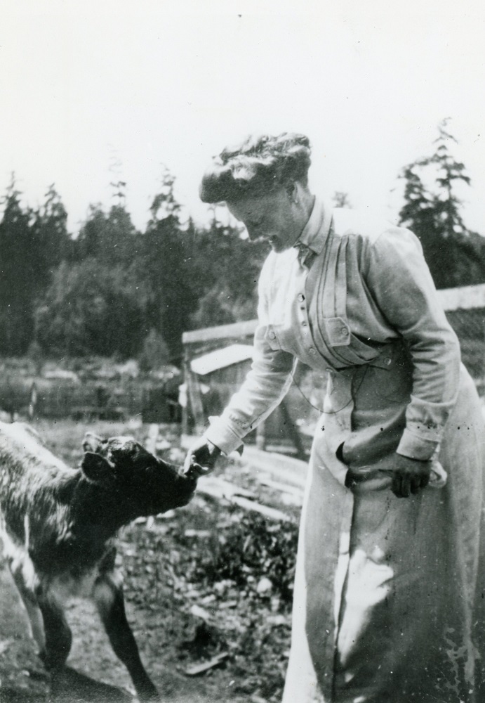 Black and white photo of a woman outdoors feeding a suckling calf.
