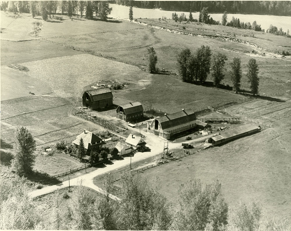 Photographie aérienne en échelle de gris d’une ferme comportant des bâtiments agricoles et les champs environnants. 