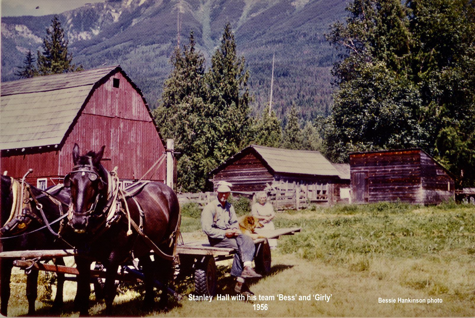 A colour photograph of a man and dog sitting on a wooden trailer attached to two black horse. A women is behind the trailer. The red barn and other farm buildings can be seen in the background.