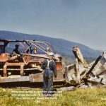 Stanley Hall and Jack Hall Piling Stumps to Burn, 1961