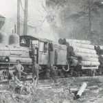 Log train, Galena Bay, circa 1910