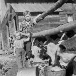 Catherwood Family Farm, circa 1960