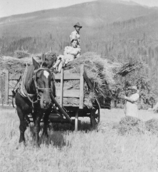 A grey-scale photograph of a family haying. The horse is pulling a cart behind it full of hay, with a woman sitting on top and a man standing on top behind her. To the right is a woman with a pitchfork full of hay.