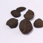 Carbonized Corn