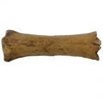 Bovine Remains
