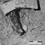 Iron Trade Axe with Handle