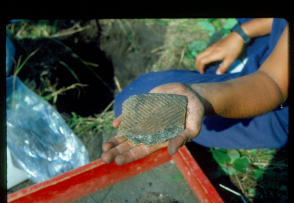 Large pottery fragment held in a persons hand with a small pit in the background and screen in the foreground