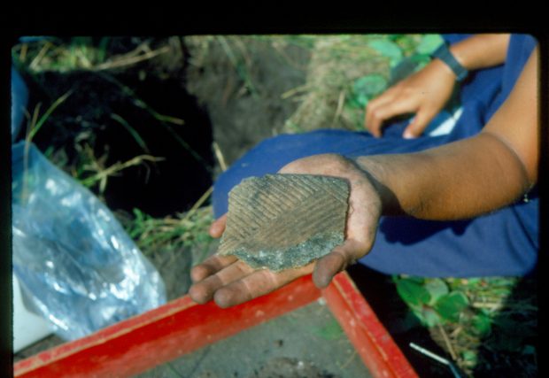 Large pottery fragment held in a persons hand with a small pit in the background and screen in the foreground