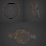 Jesuit Ring 3d Video Stills
