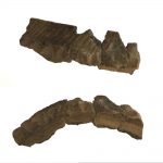 Rim Sherd 3-d Image Stills