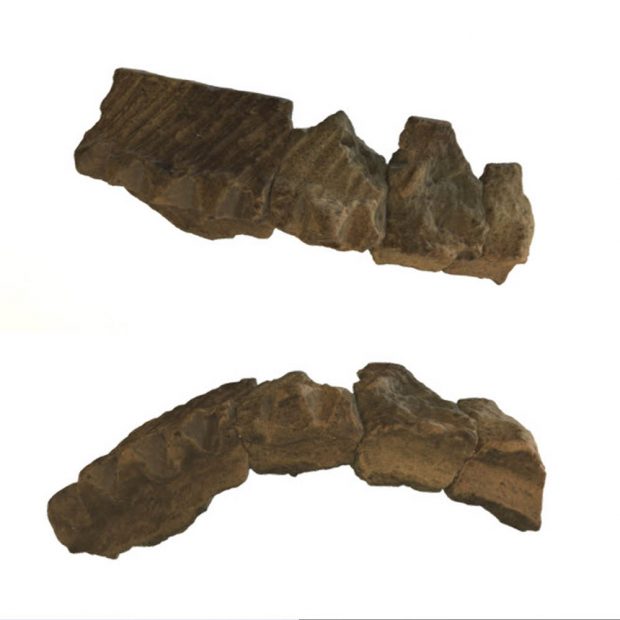 Two image stills showing alternate views of a reconstructed pottery rim on a plain white background.