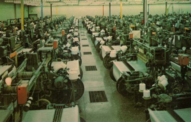 Color photo of rows of weaving machines
