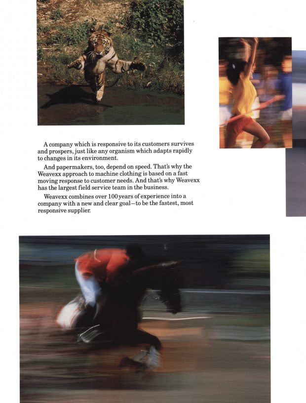 Brochure page with coloured images of people and animals in motion.