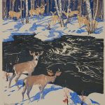 Deer, Kananaskis, no date