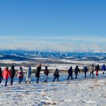 School Children Admiring the View, 2018
