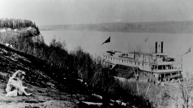 Black and white photo taken from on top of a hill where a dog is looking over the trees at a large steamboat in the river below.